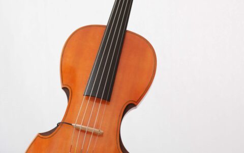 C-Violine-Piezo-Pickup-Geige