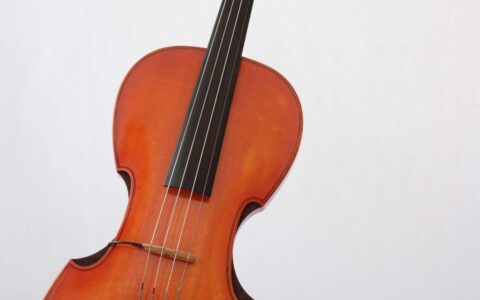 C-Violine-Piezo-Tonabnehmer-Geige