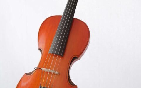 CJK-Violine-Halbakutisch
