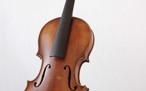 Geige-Alt-Service-Stimmstock