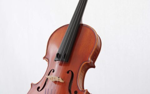Geige-Elektronische-Violine-Geigenbau