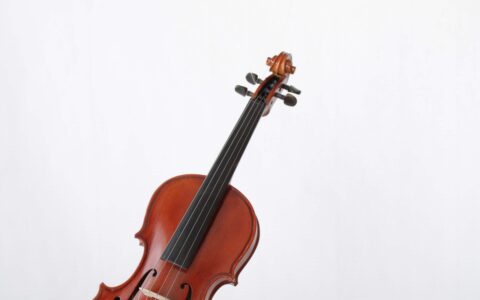 Kleine-Geige-Mini-Violine