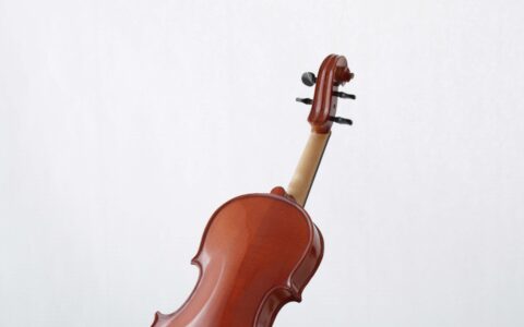 Kleine-Geige-Mini-Violine-back