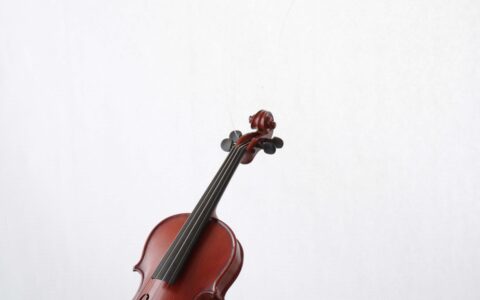 Kleinste-Geige-Mini-Violine