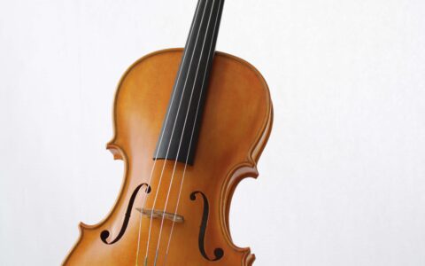 Meister-Violin-Maker-Kober