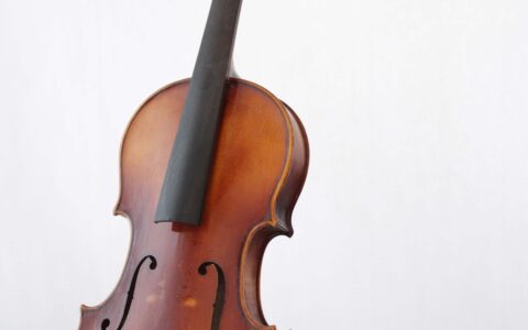 Schueler-Violine-Kinder-Geige-Anfaenger