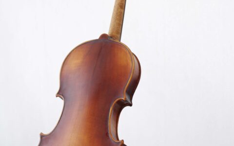 Schueler-Violine-Kinder-Geige-Anfaenger-back