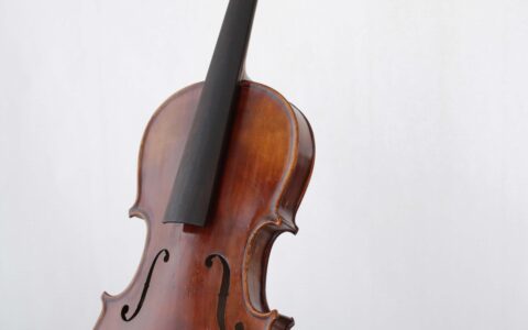 Schueler-Violine-Kinder-Geige-Lernen