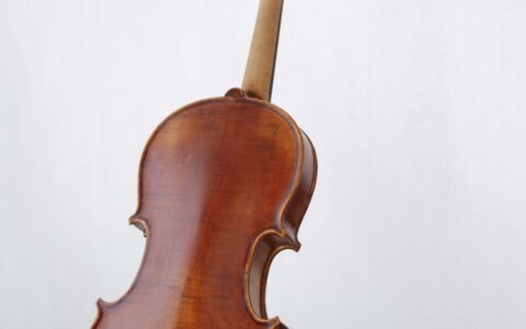 Schueler-Violine-Kinder-Geige-Lernen-back