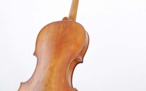 Violine-Meisterwerkstatt-Kober-Oesterreich-back